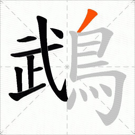 鵡
