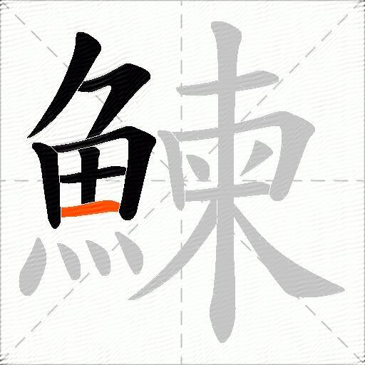 鰊