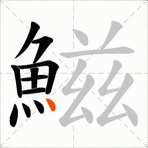 鰦