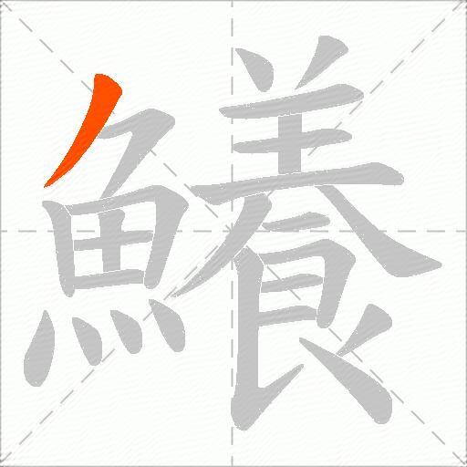 鱶
