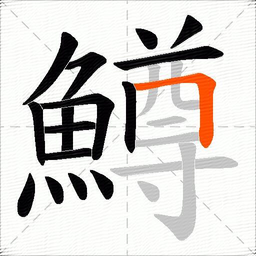 鱒