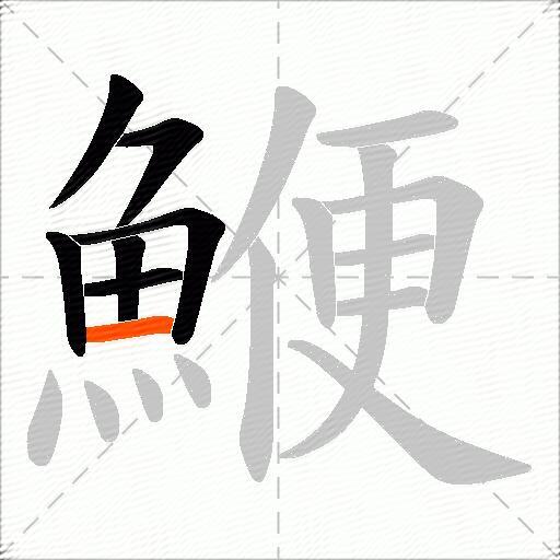 鯾