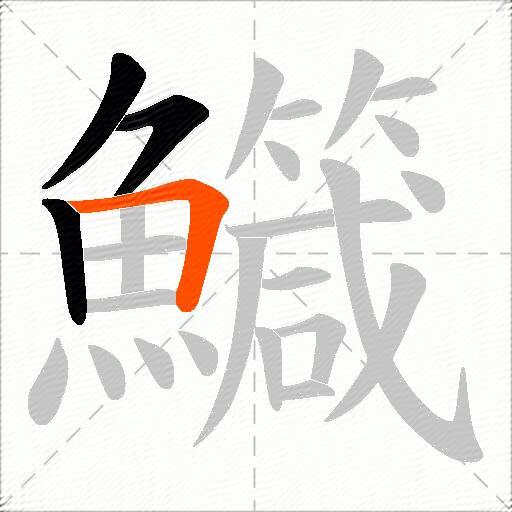 鱵