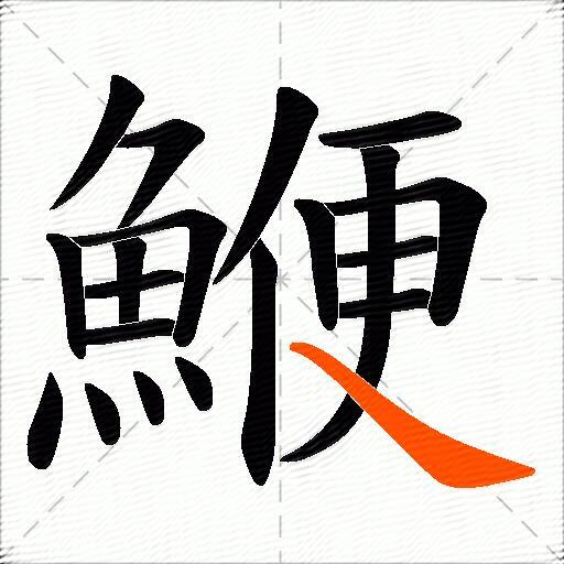 鯾