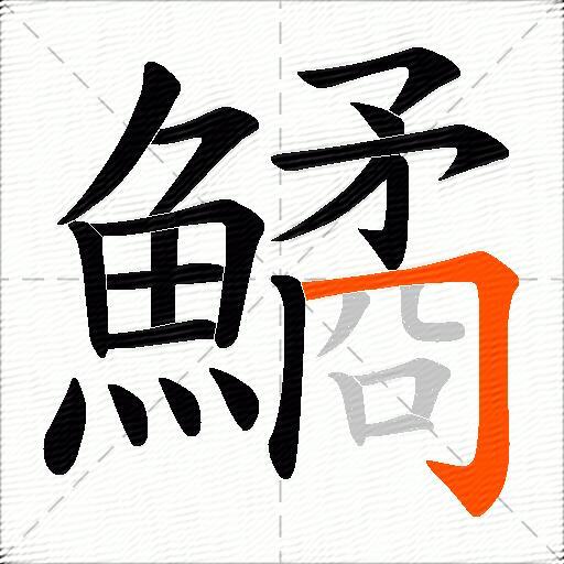 鱊