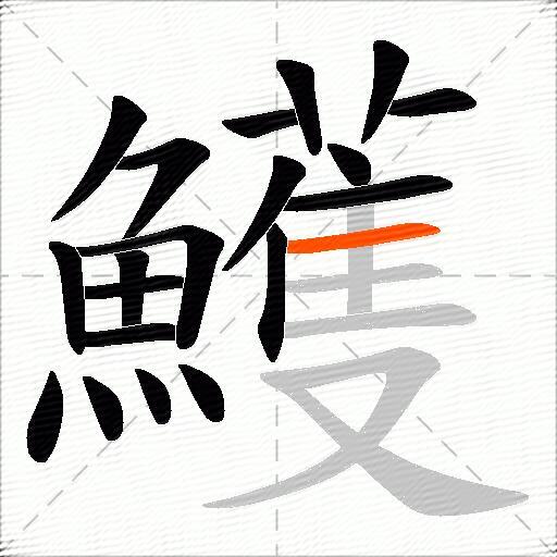 鱯