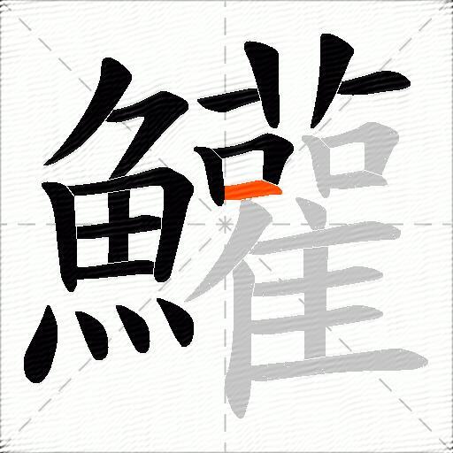 鱹