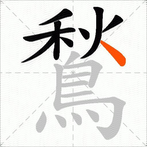 鶖