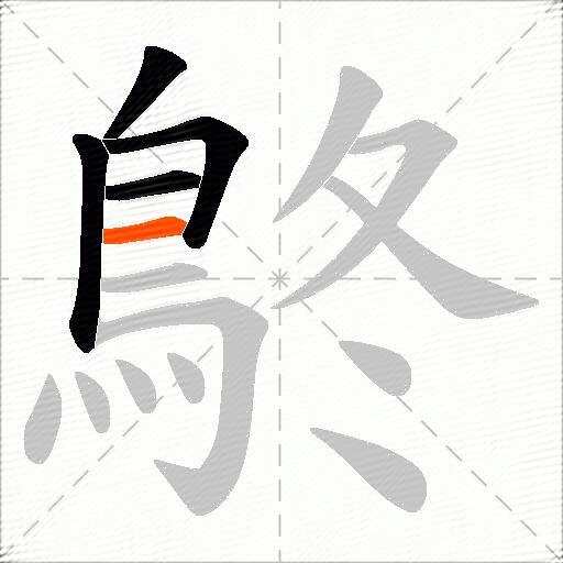 鴤