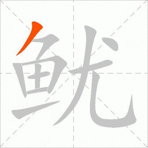 鱿