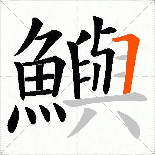 鱮