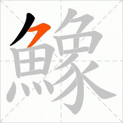 鱌
