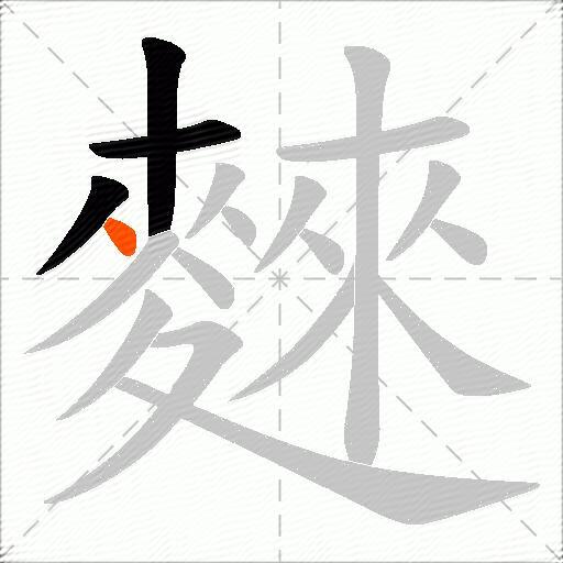 麳