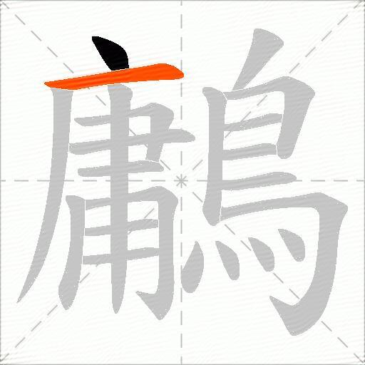 鷛