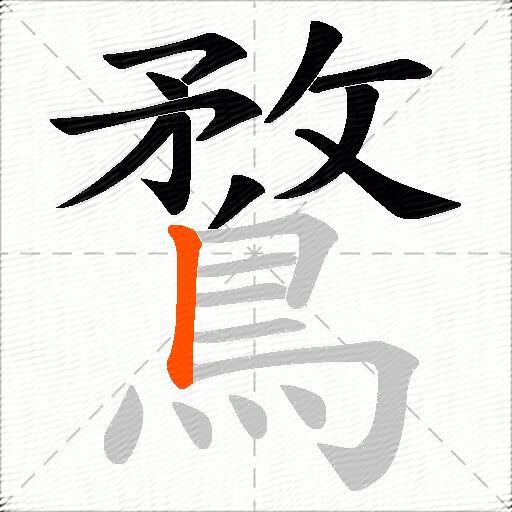 鶩