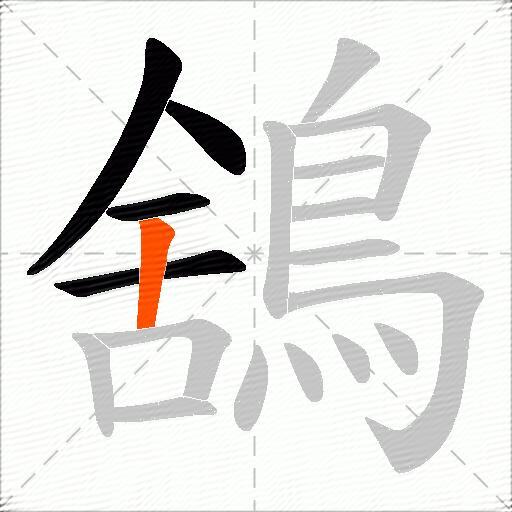 鵨