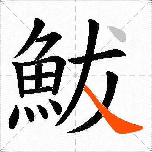 鮁