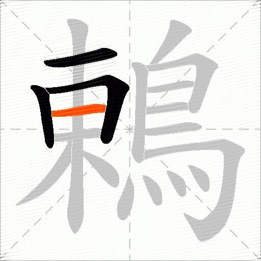 鶇