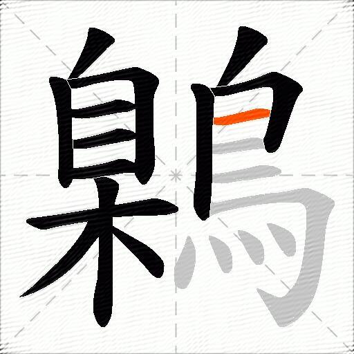 鷍