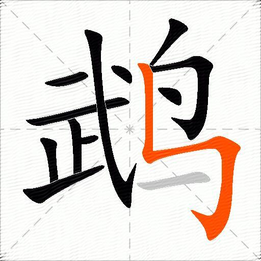 鹉