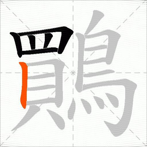 鷶