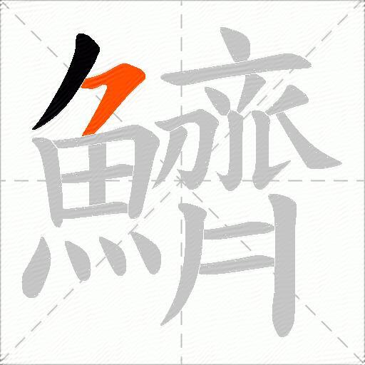 鱭