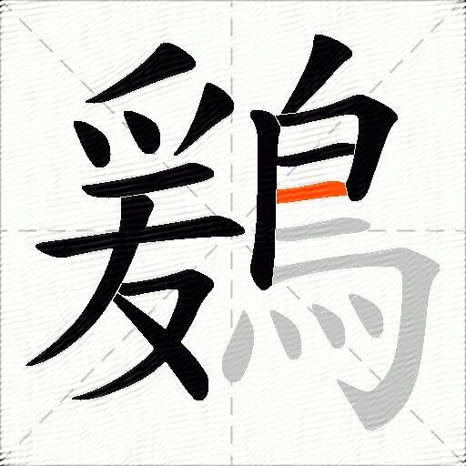 鶢