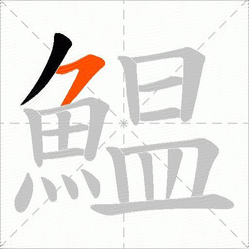 鰛