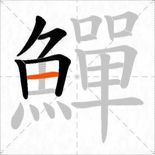 鱓