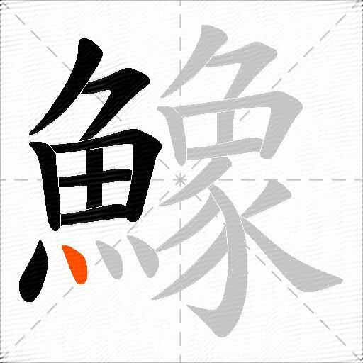 鱌