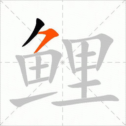 鲤