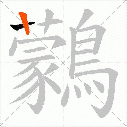 鸏