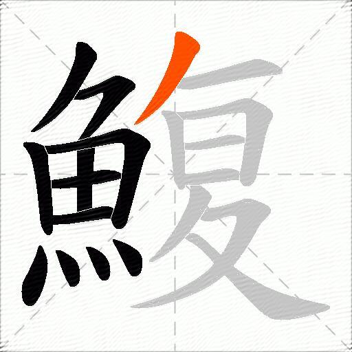 鰒