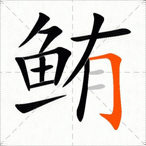 鲔