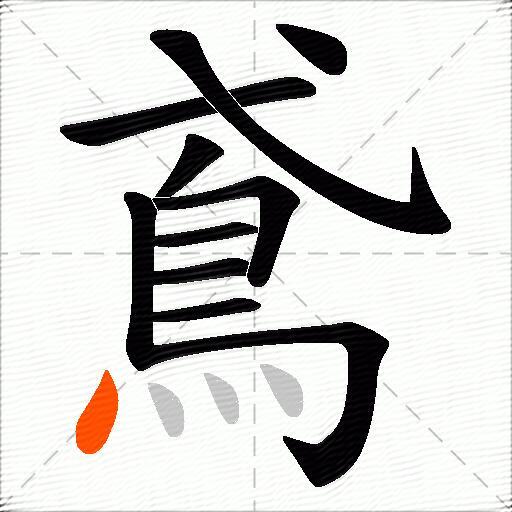 鳶