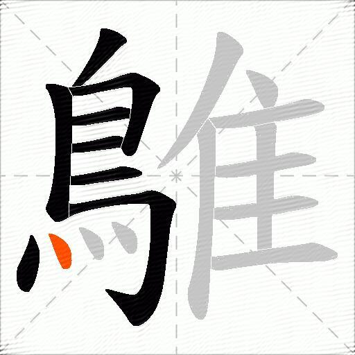 鵻