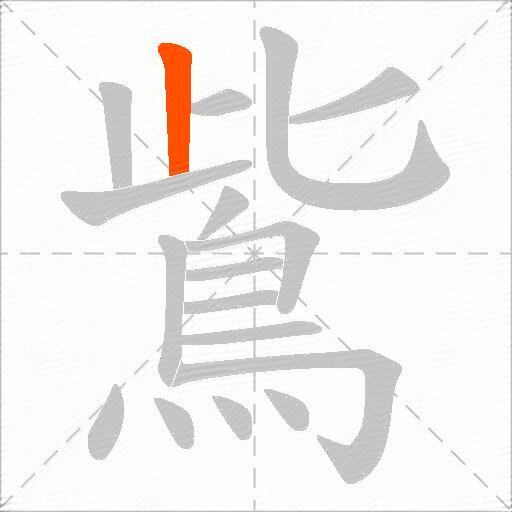 鴜