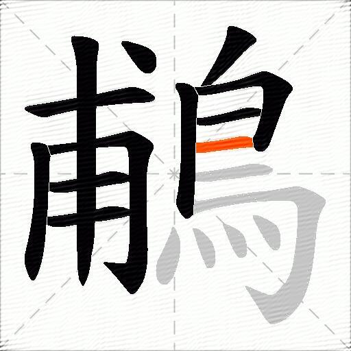 鵏