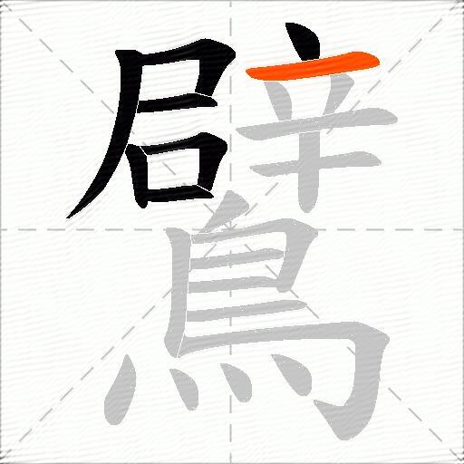 鷿