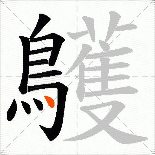 鸌