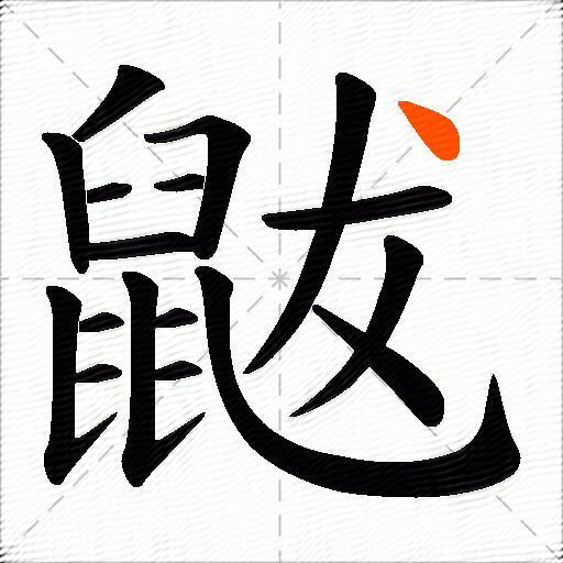 鼥