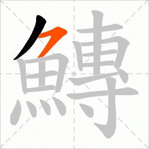 鱄
