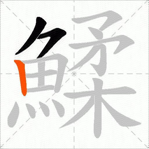 鰇