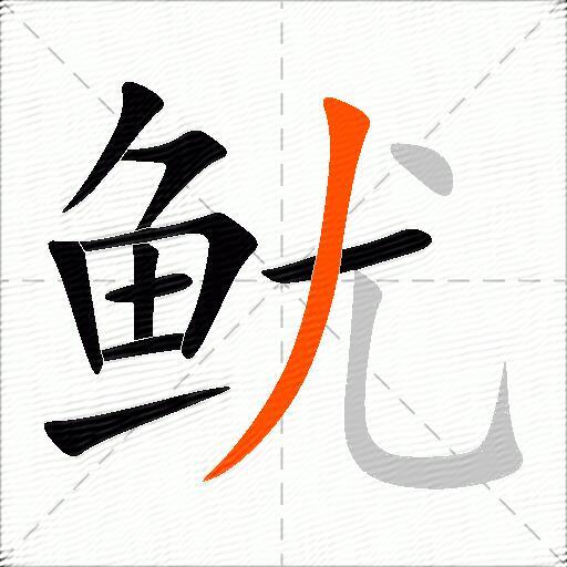 鱿