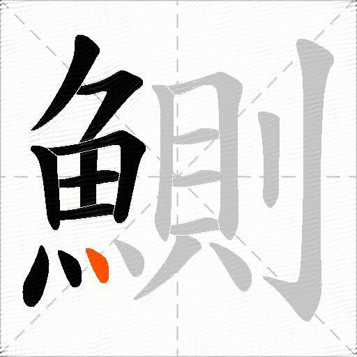 鰂
