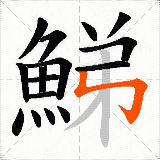 鮷