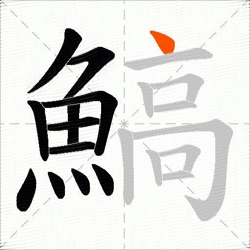 鰝