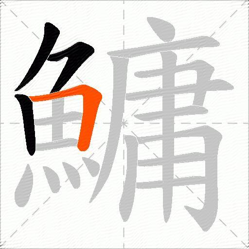 鱅