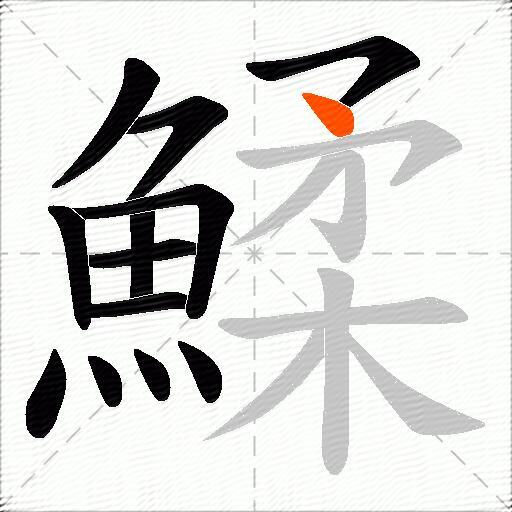 鰇