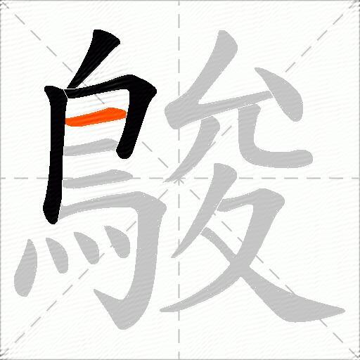 鵔